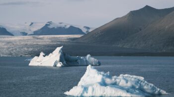 pexels-beijia-mao-862334779-345298151