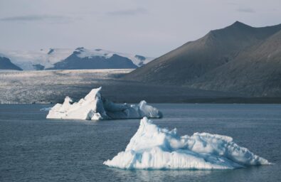 pexels-beijia-mao-862334779-345298151 pexels-beijia-mao-862334779-345298151